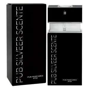 PUB Nº 33 Fragrância Inspirado Silver Scent